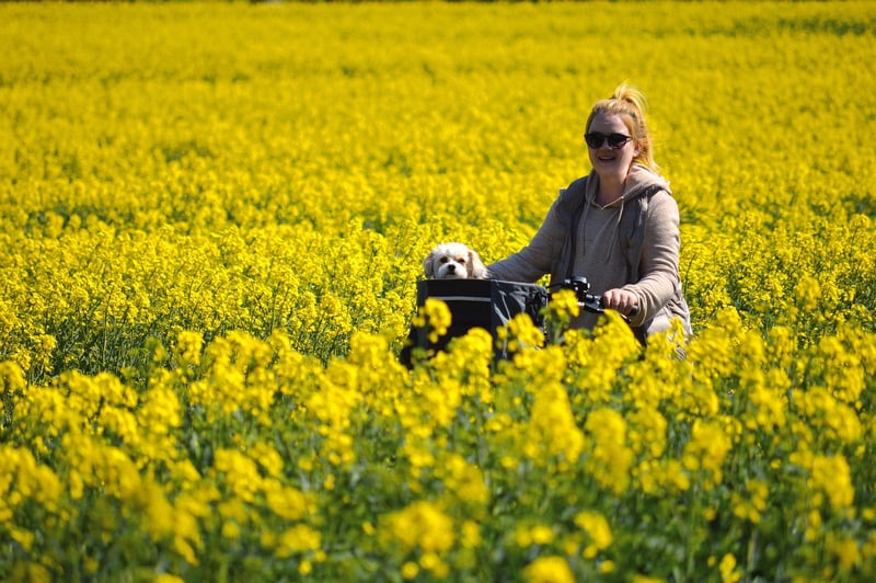 Future Technology Tour